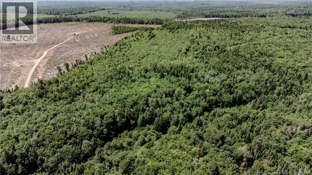 Vacant Lot Ch Nw Aldouane River Rd, Saint-Charles, New Brunswick  E4W 0A8 - Photo 2 - NB134785