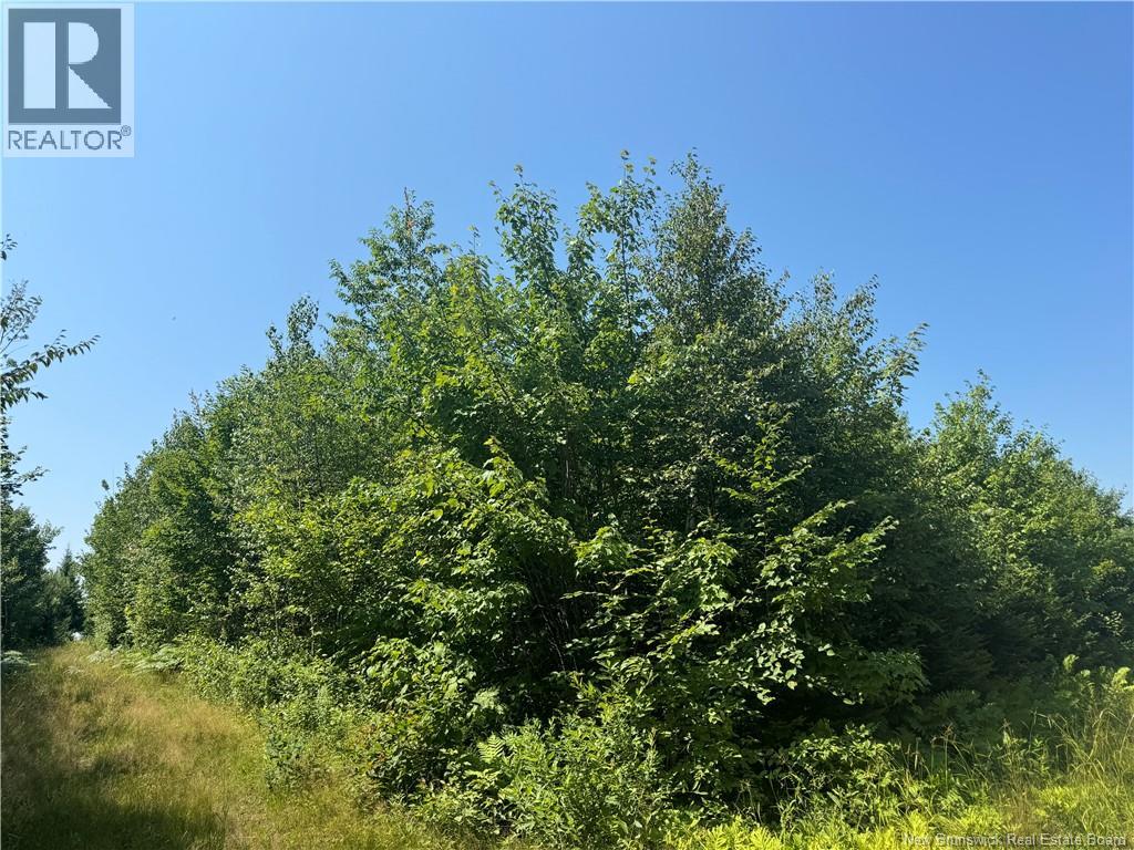 Vacant Lot Ch Nw Aldouane River Rd, Saint-Charles, New Brunswick  E4W 0A8 - Photo 5 - NB134785