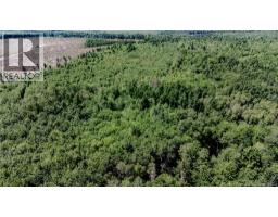 Vacant Lot CH NW ALDOUANE RIVER RD, saint-charles, New Brunswick