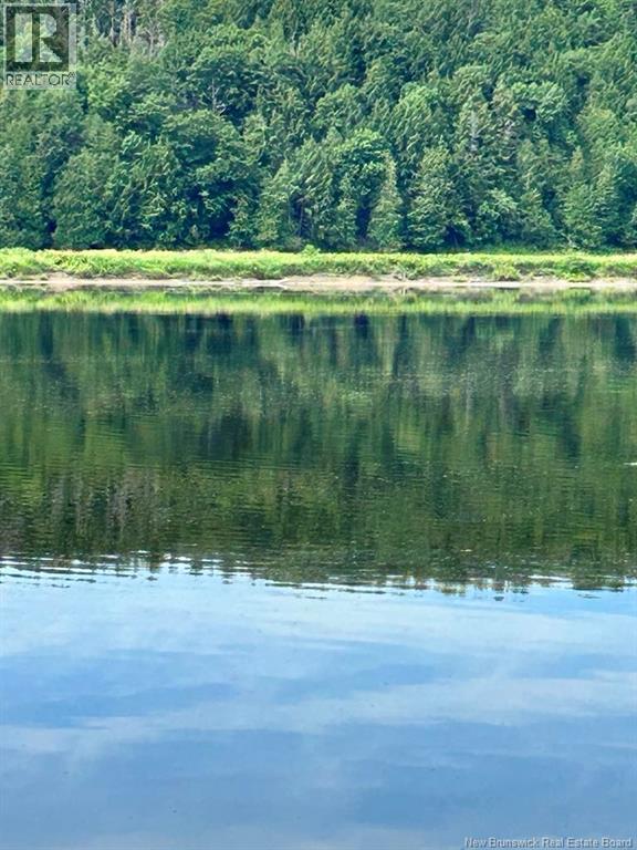 5189 105 Route, Grafton, New Brunswick  E7N 1S3 - Photo 47 - NB135129