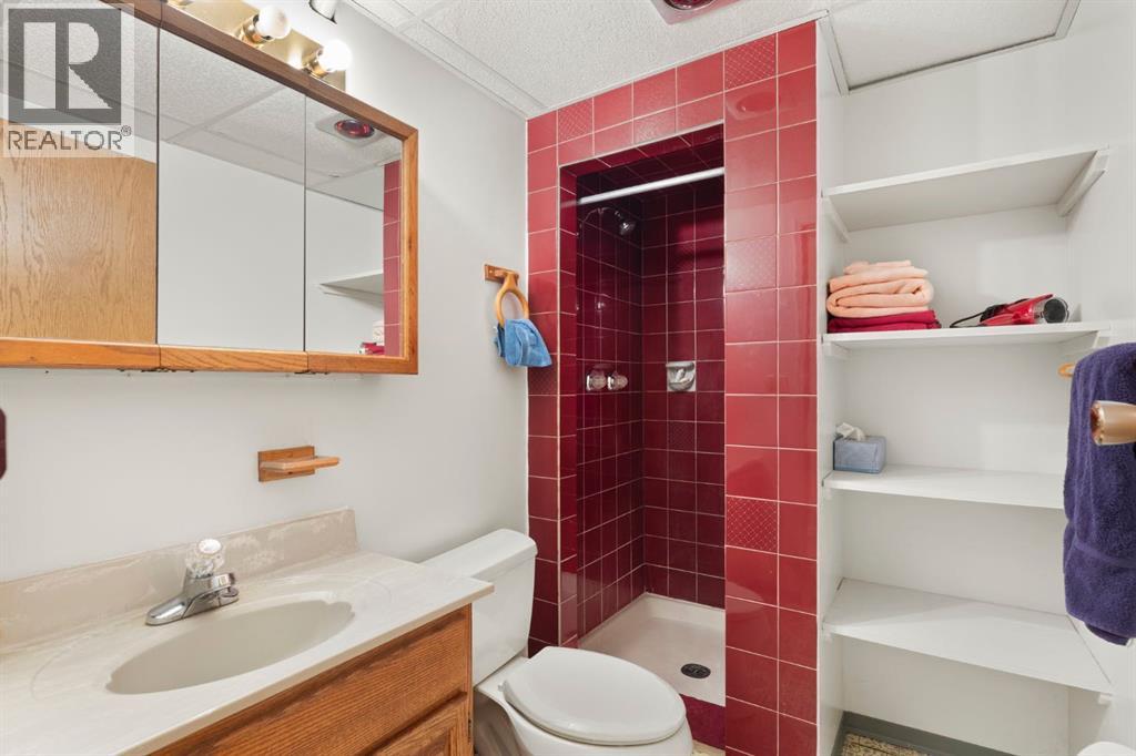 115 Midvalley Place Se, Calgary, Alberta  t2x 1k3 - Photo 38 - A2292940