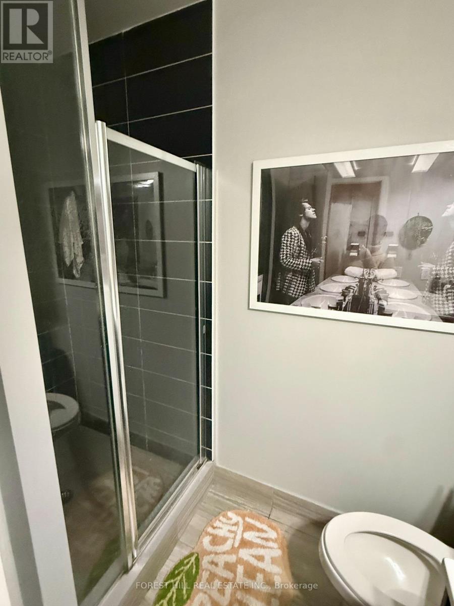 414 - 435 Richmond Street W, Toronto, Ontario M5V 0N3 - Photo 8 - C12887992