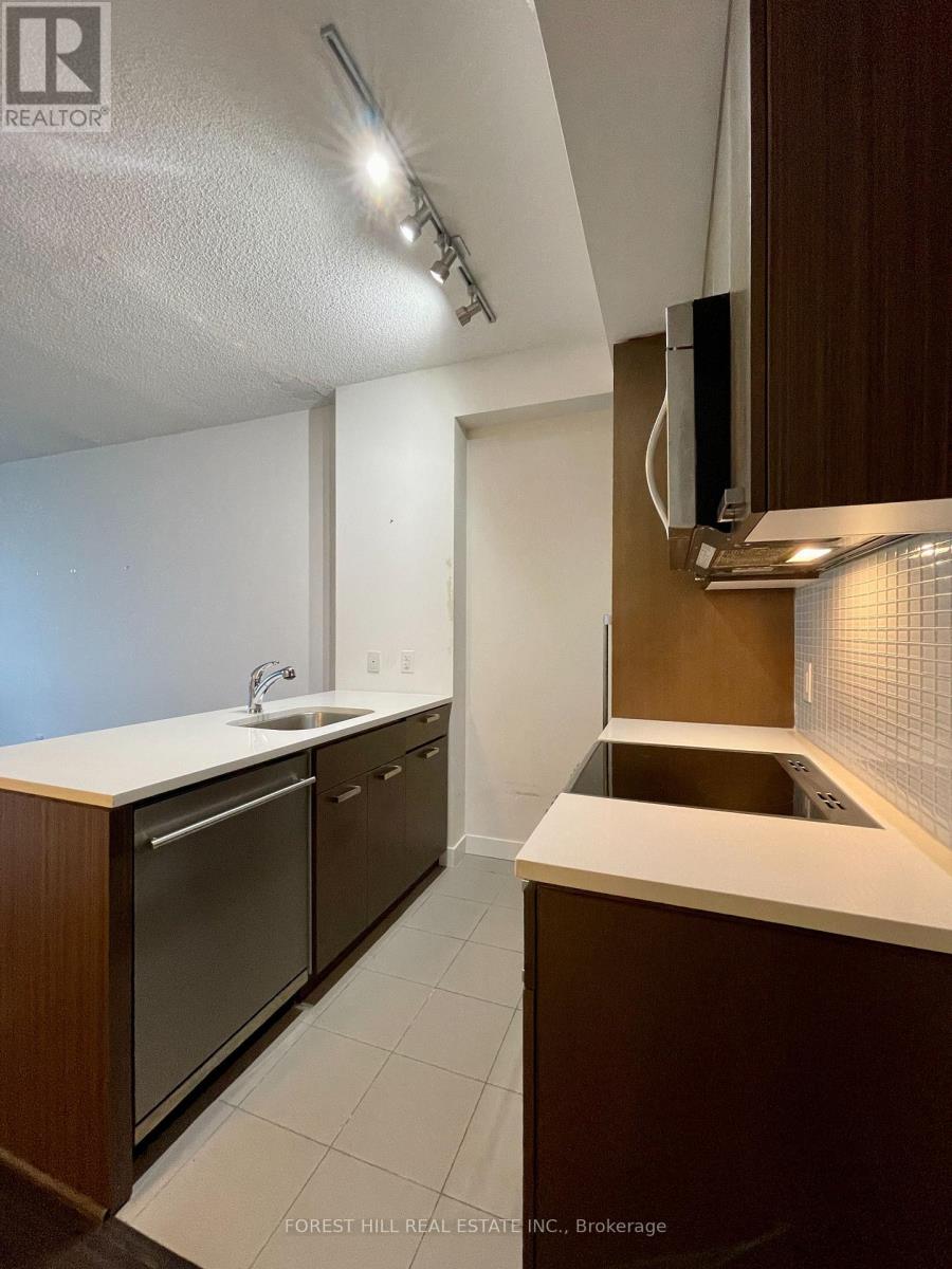 3805 - 295 Adelaide Street W, Toronto, Ontario  M5V 1P7 - Photo 7 - C12887586