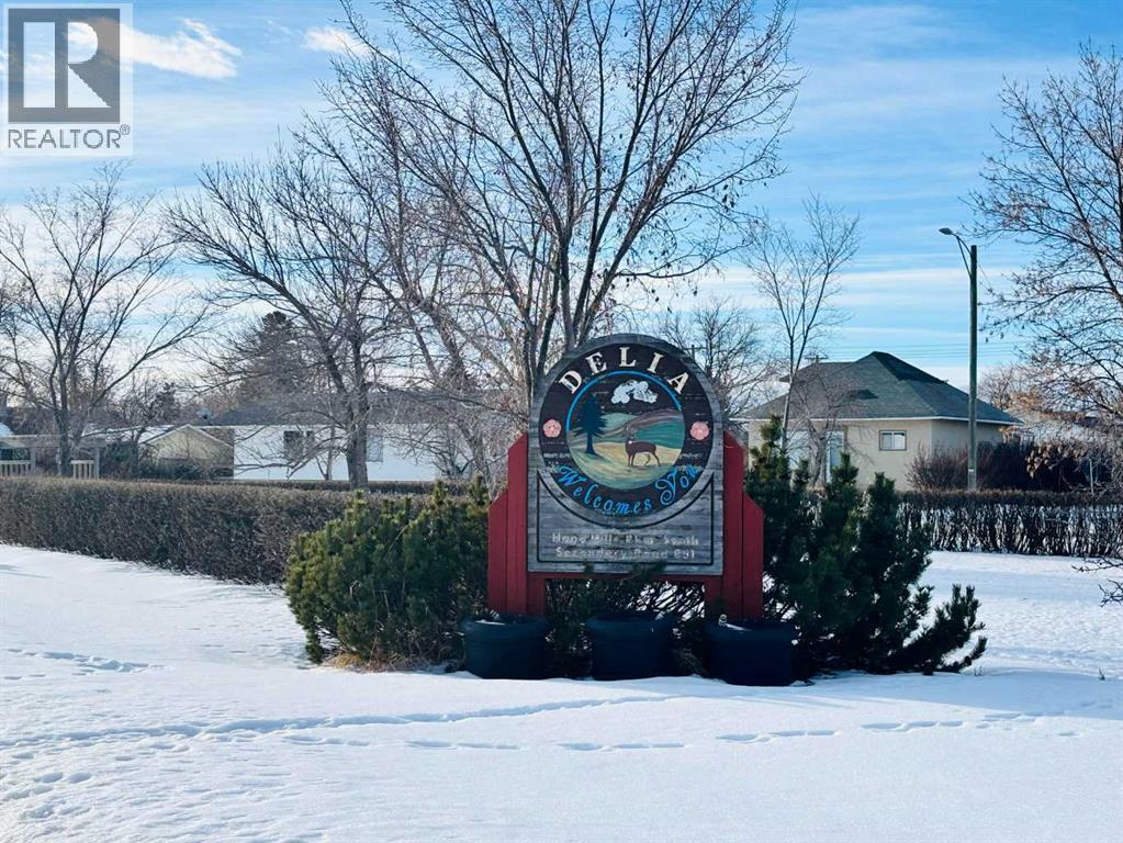 117 3 Avenue Ne, Delia, Alberta T0J 0W0 - Photo 27 - A2279318