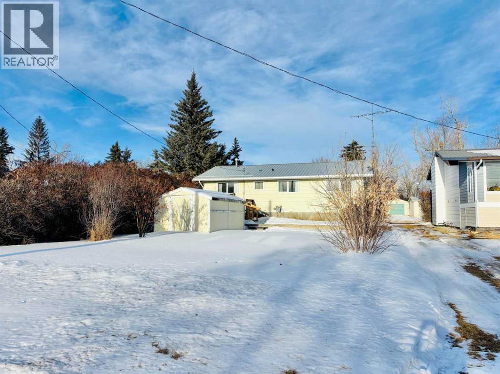 117 3 Avenue Ne, Delia, Alberta T0J 0W0 - Photo 5 - A2279318