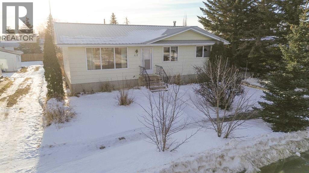 117 3 Avenue NE, Delia, Alberta