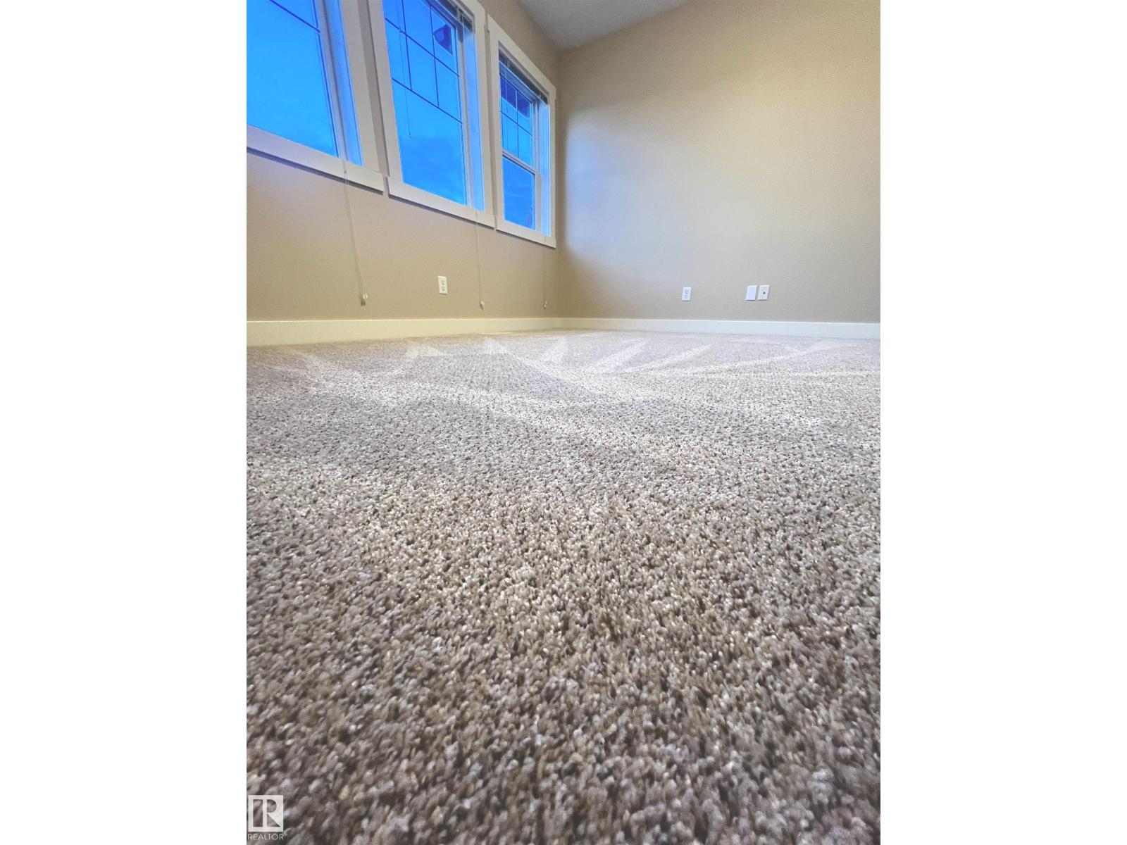 3705 11 St Nw, Edmonton, Alberta  T6T 0E8 - Photo 12 - E4472000