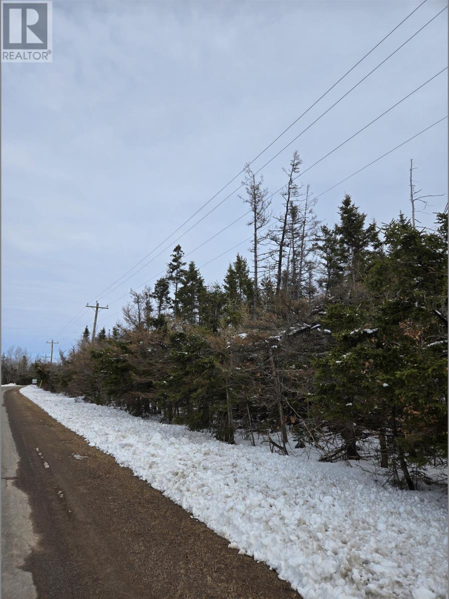 Acreage Roseberry Road, Belfast, Prince Edward Island  C0A 1A0 - Photo 2 - 202604692