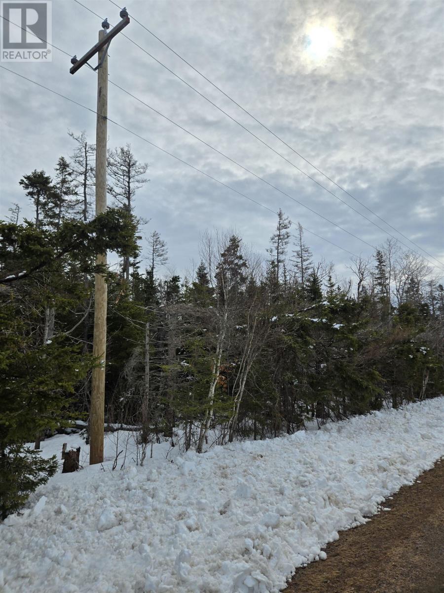 Acreage Roseberry Road, Belfast, Prince Edward Island  C0A 1A0 - Photo 3 - 202604692