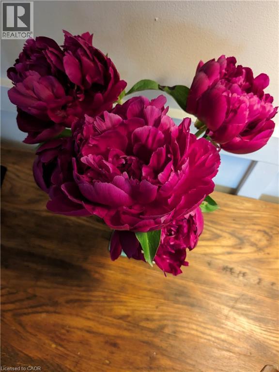 136 Glenariff Drive, Hamilton, Ontario  L8B 1A5 - Photo 37 - 40796748