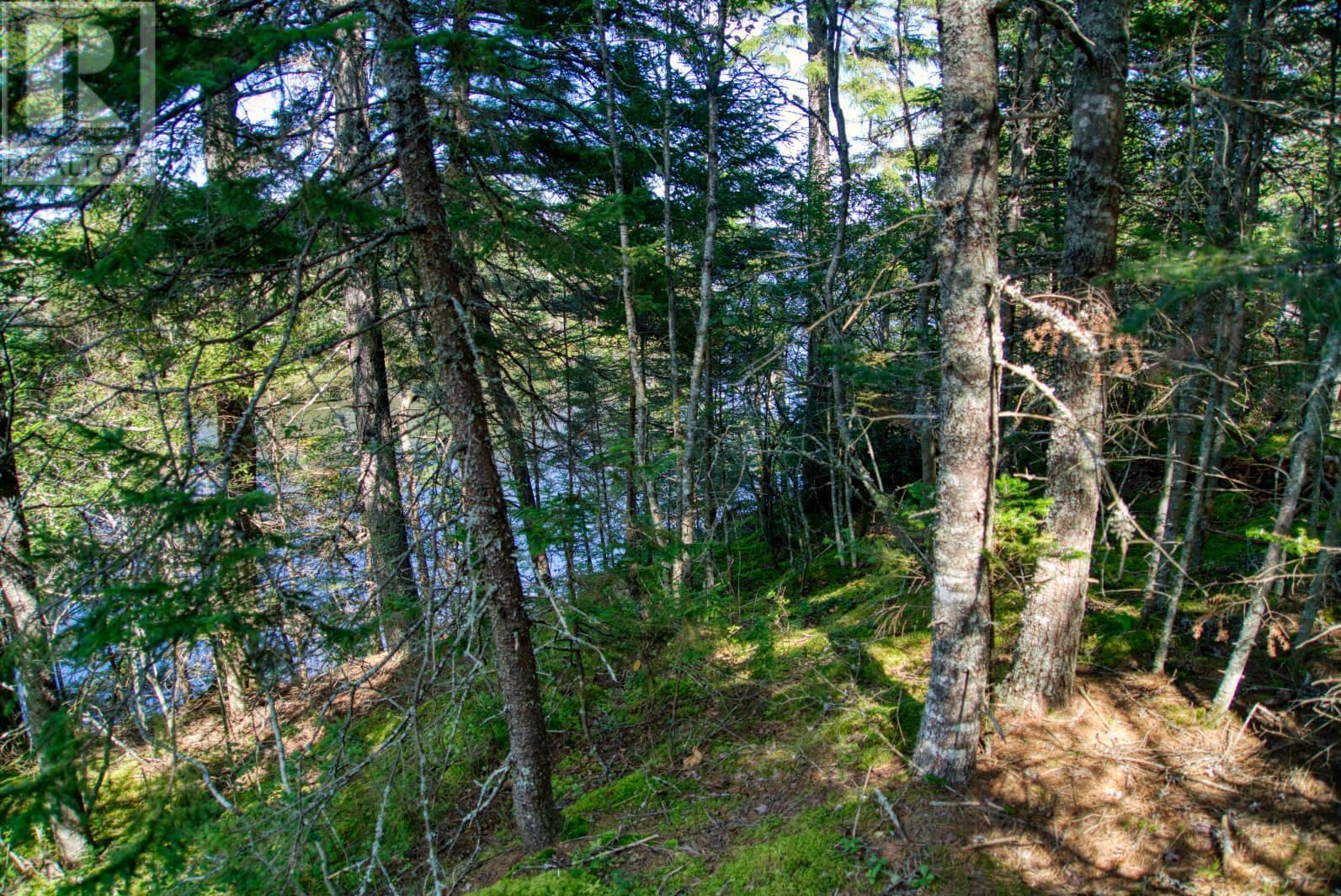 Lot 5 Cooks Brook, Bayport, Nova Scotia  B0J 2C0 - Photo 25 - 202601189