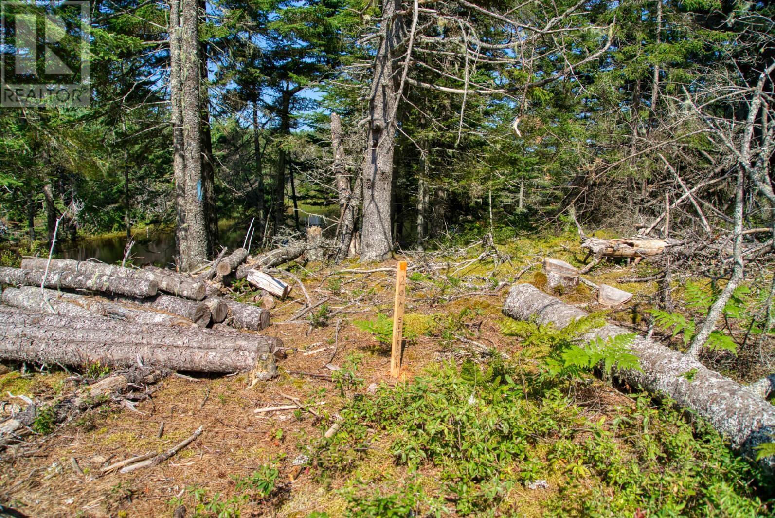 Lot 5 Cooks Brook, Bayport, Nova Scotia  B0J 2C0 - Photo 15 - 202601189