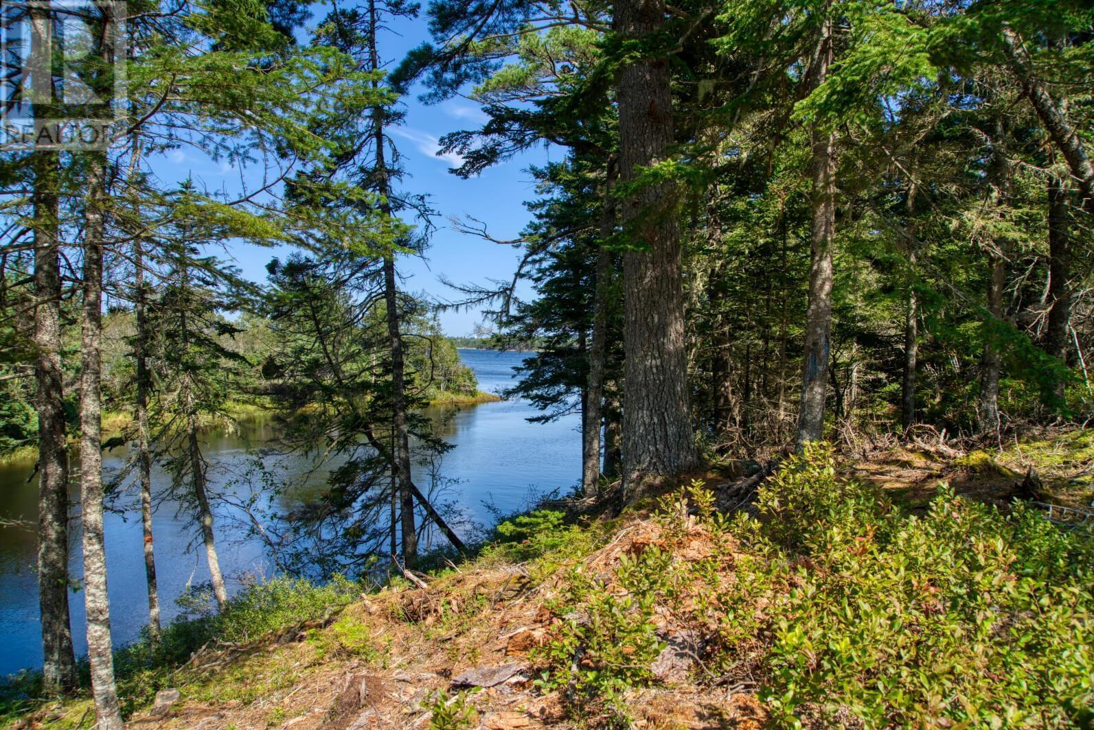 Lot 5 Cooks Brook, Bayport, Nova Scotia  B0J 2C0 - Photo 11 - 202601189