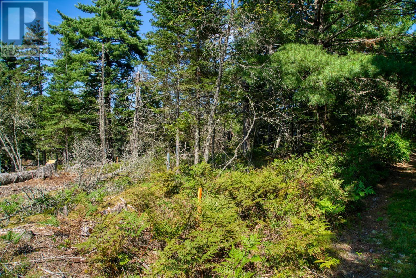 Lot 5 Cooks Brook, Bayport, Nova Scotia  B0J 2C0 - Photo 16 - 202601189