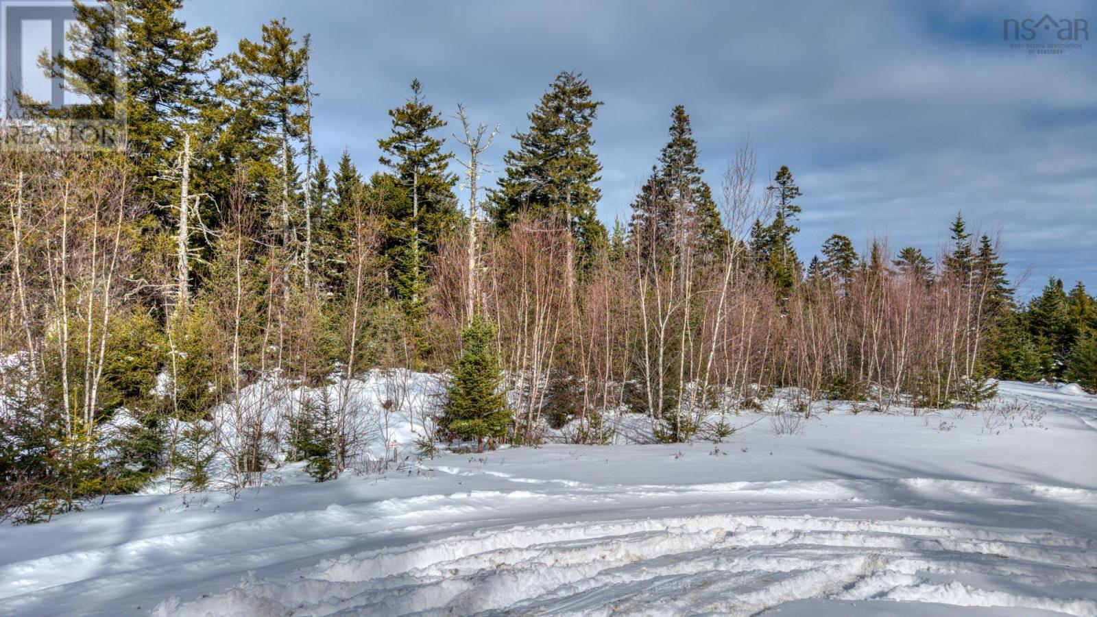 Lot 5 Cooks Brook, Bayport, Nova Scotia  B0J 2C0 - Photo 34 - 202601189