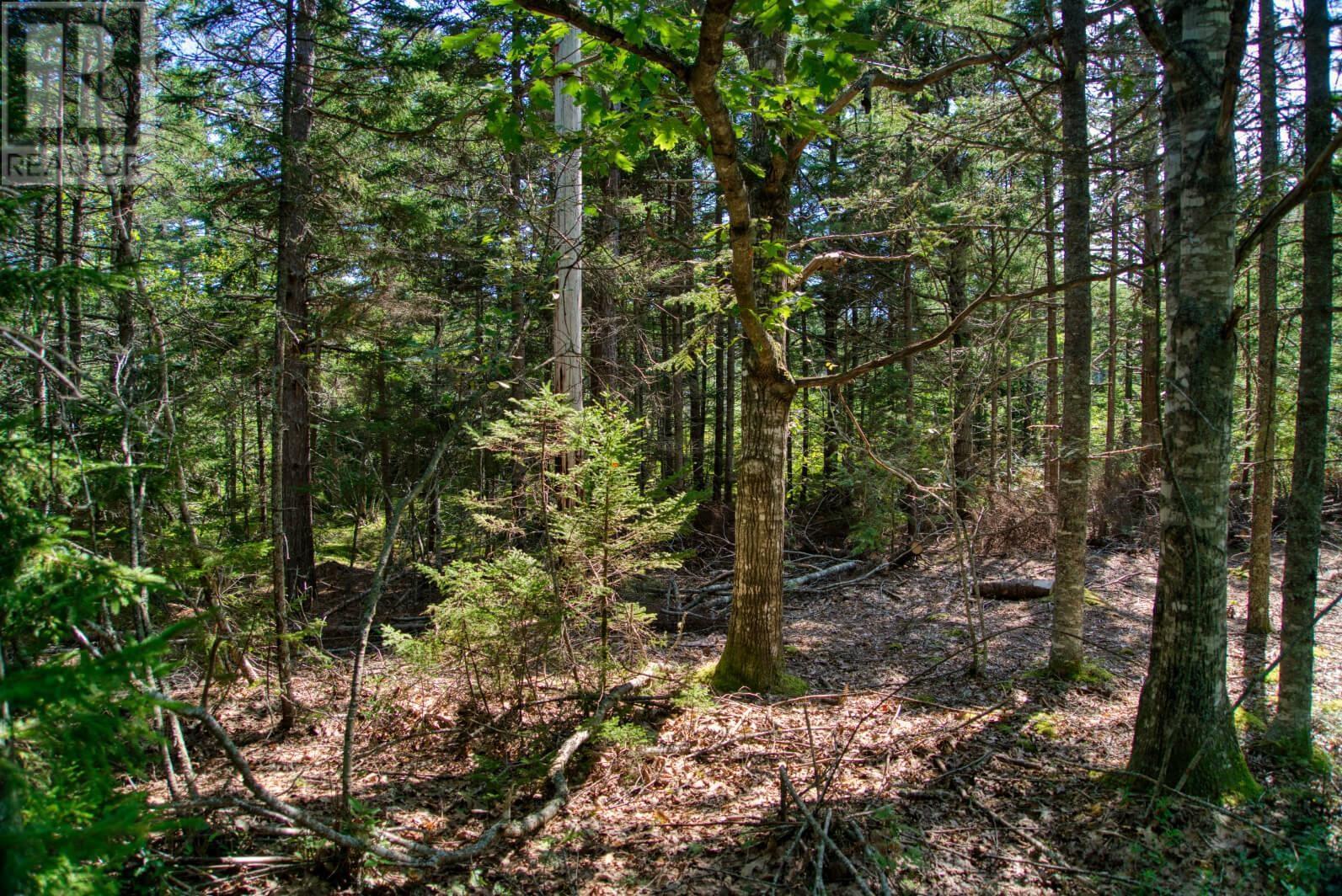 Lot 5 Cooks Brook, Bayport, Nova Scotia  B0J 2C0 - Photo 6 - 202601189