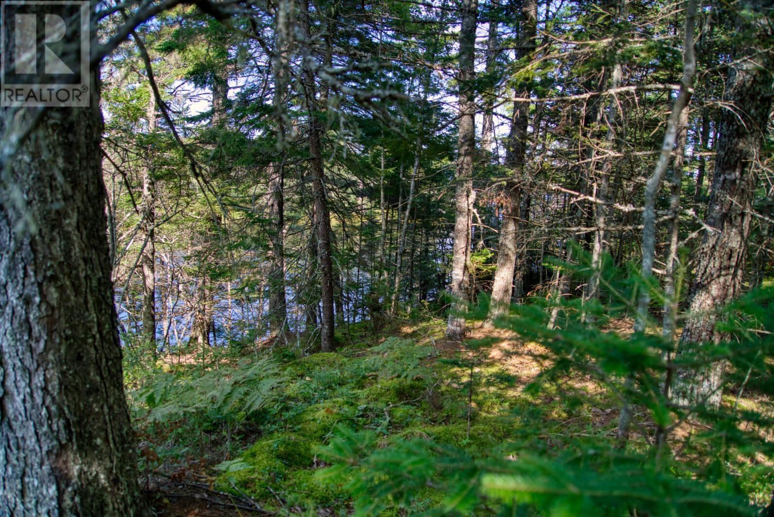 Lot 5 Cooks Brook, Bayport, Nova Scotia  B0J 2C0 - Photo 5 - 202601189