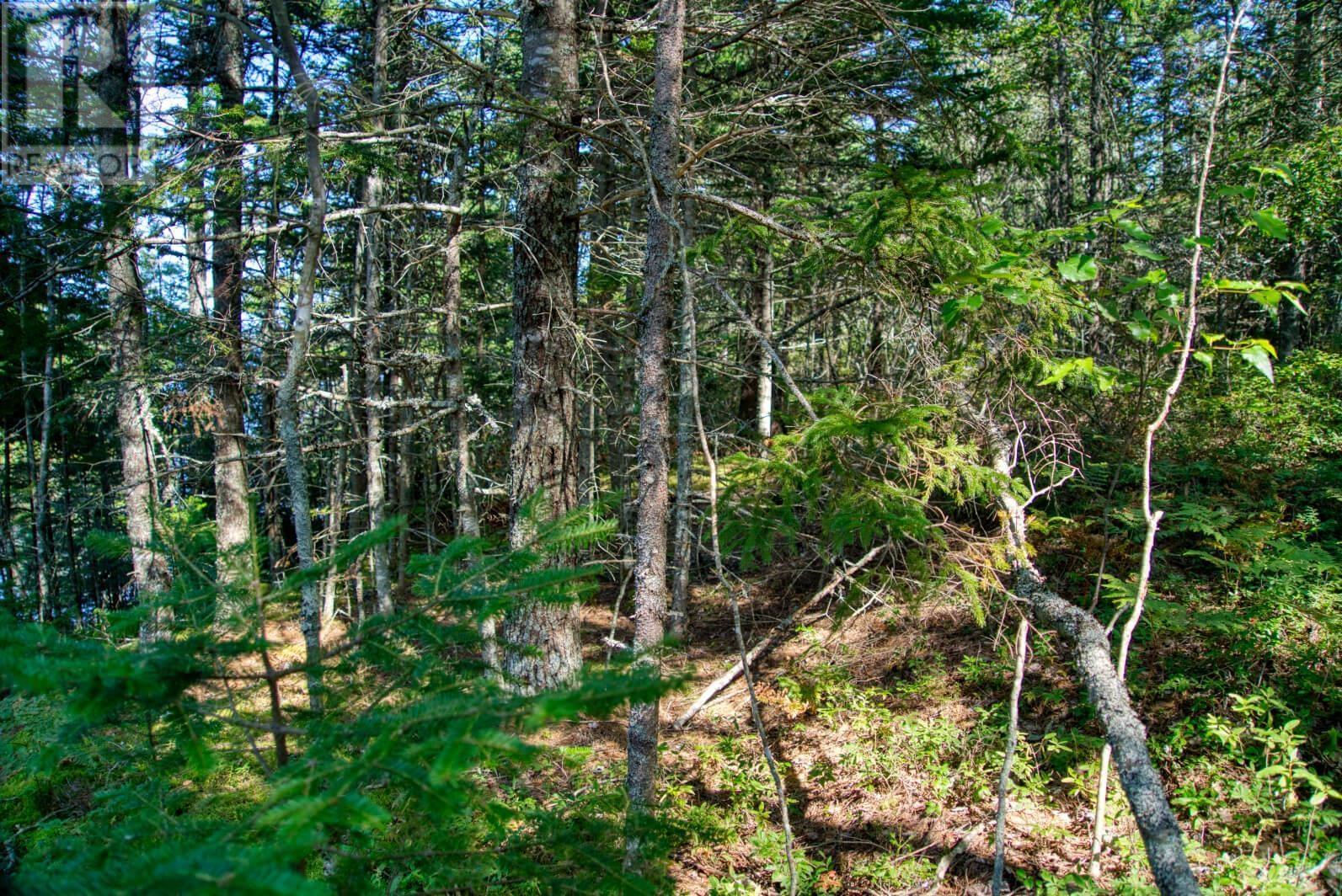 Lot 5 Cooks Brook, Bayport, Nova Scotia  B0J 2C0 - Photo 7 - 202601189