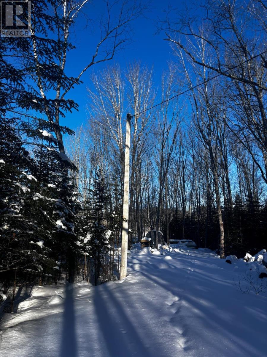 Lot 29 Salmon Run Road, Newburne, Nova Scotia  B0J 2E0 - Photo 12 - 202601897