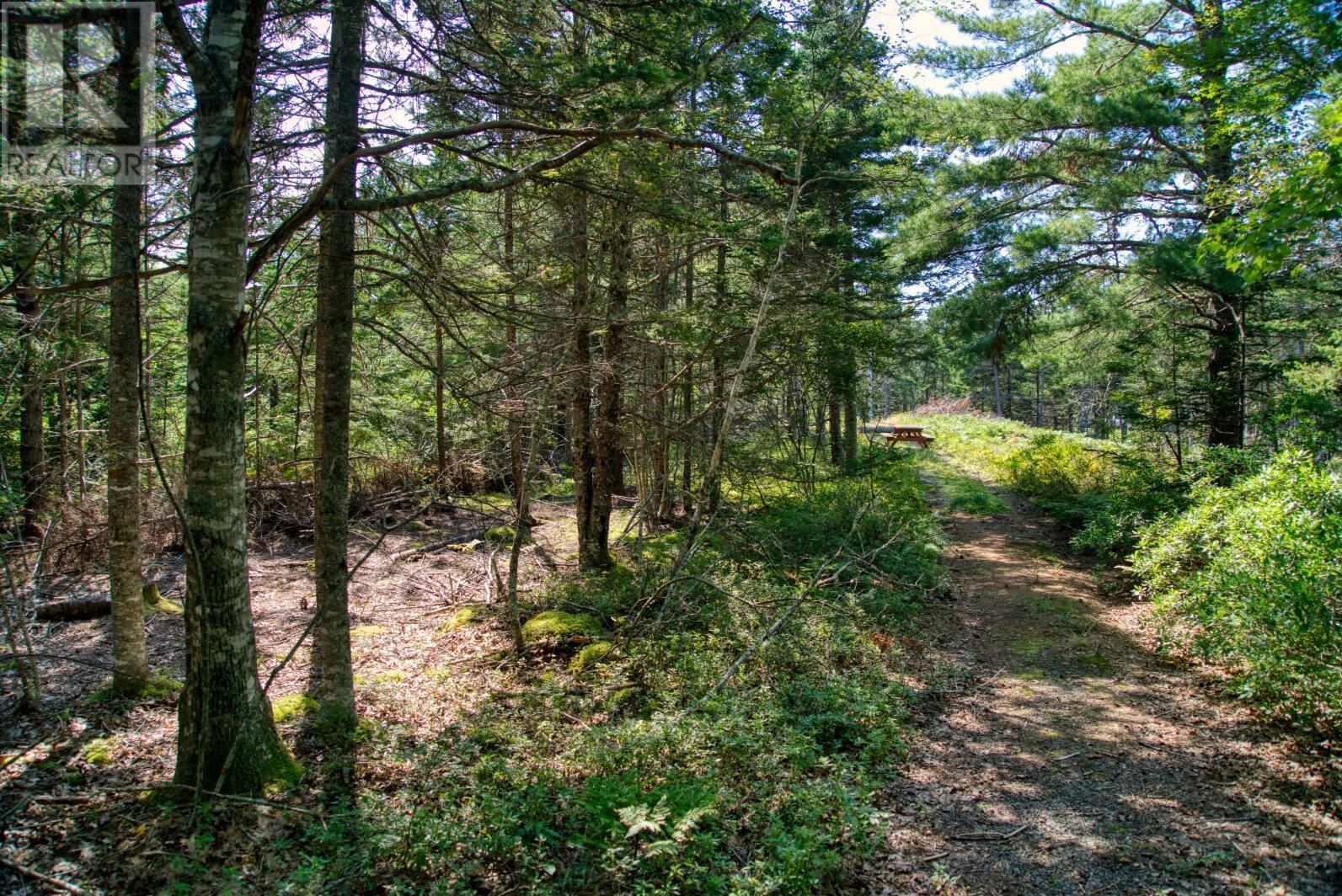 Lot 5 Cooks Brook, Bayport, Nova Scotia  B0J 2C0 - Photo 12 - 202601189