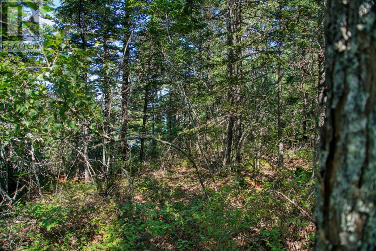 Lot 5 Cooks Brook, Bayport, Nova Scotia  B0J 2C0 - Photo 24 - 202601189