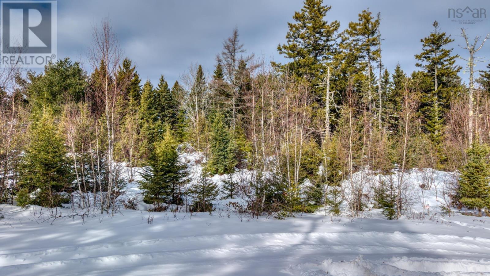 Lot 5 Cooks Brook, Bayport, Nova Scotia  B0J 2C0 - Photo 31 - 202601189