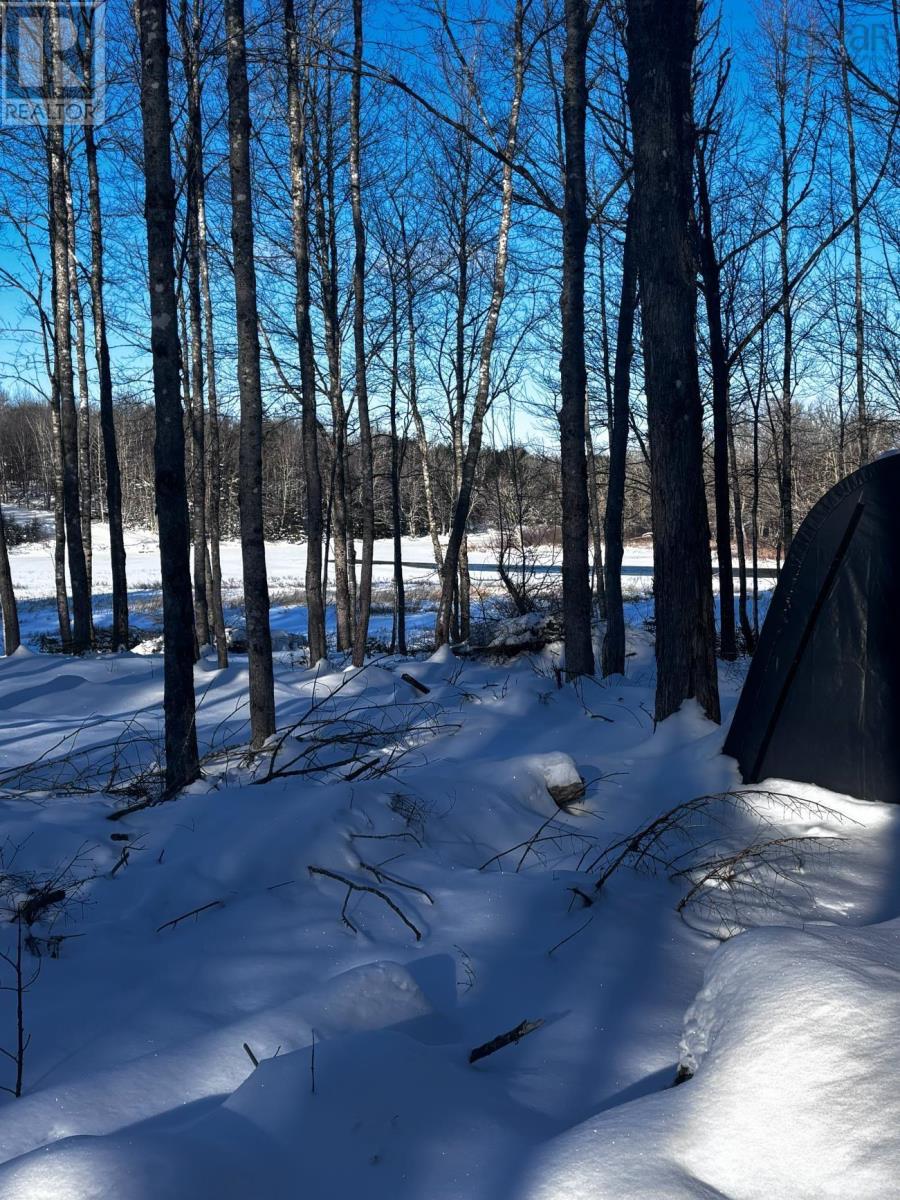 Lot 29 Salmon Run Road, Newburne, Nova Scotia  B0J 2E0 - Photo 13 - 202601897