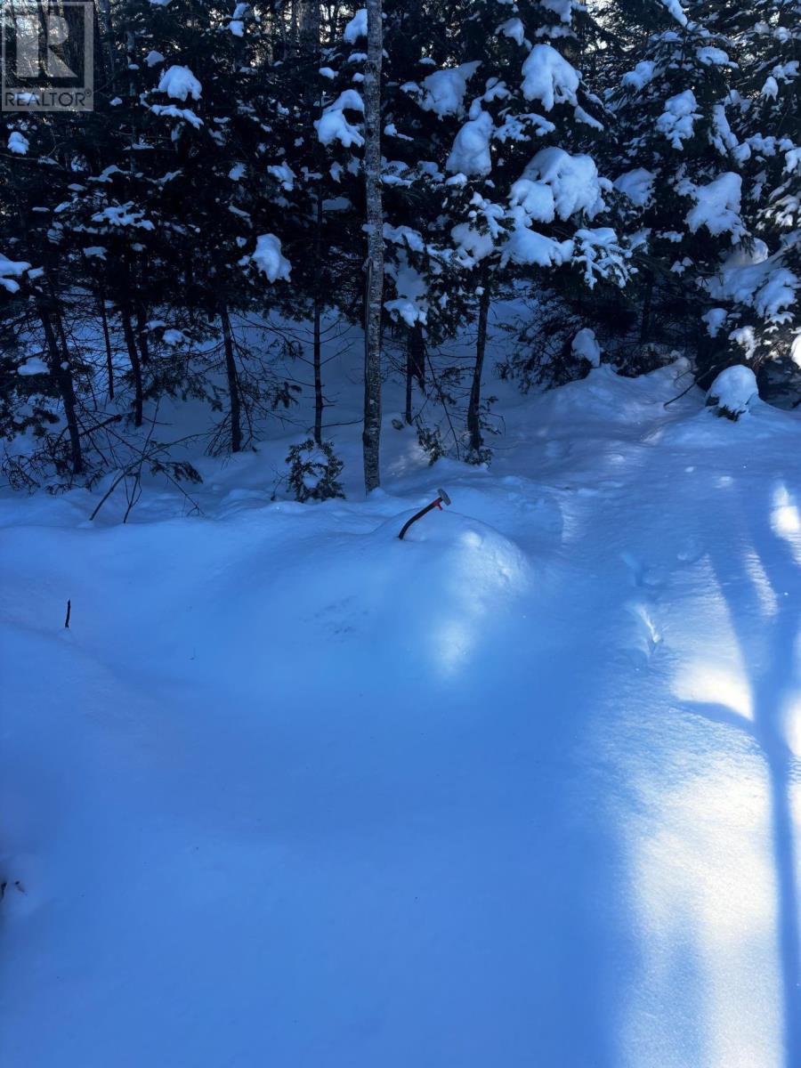 Lot 29 Salmon Run Road, Newburne, Nova Scotia  B0J 2E0 - Photo 15 - 202601897