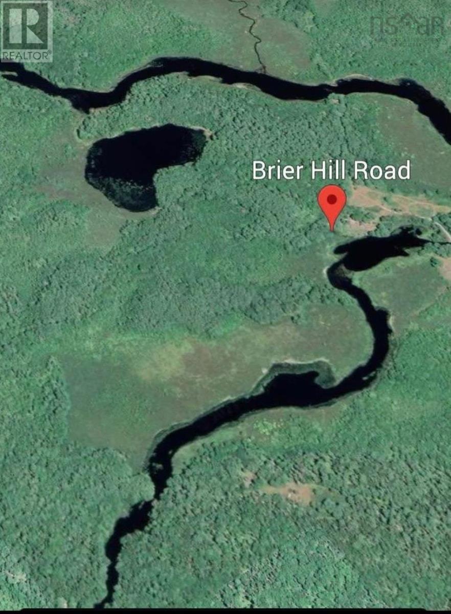 Brier Hill Road, Upper Clyde, Nova Scotia  B0T 1W0 - Photo 12 - 202601967