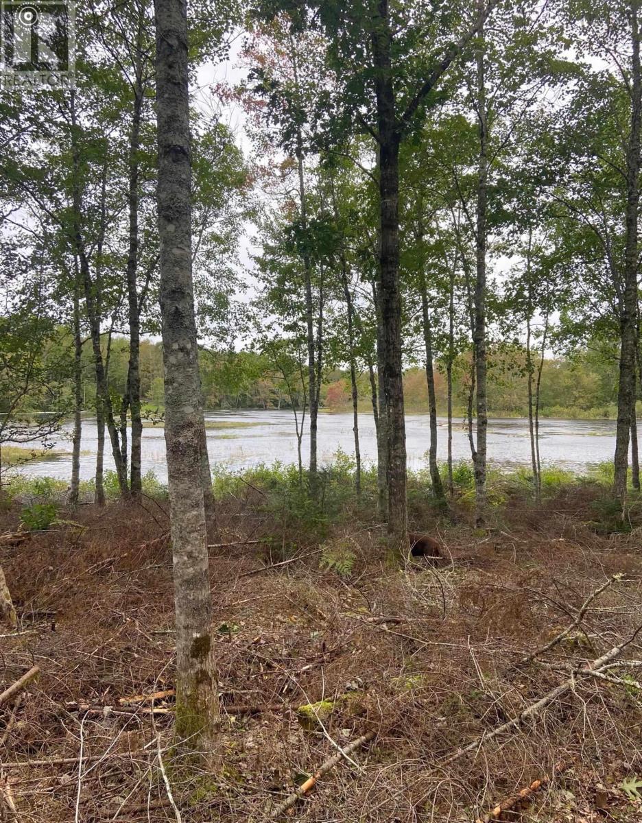 Lot 29 Salmon Run Road, Newburne, Nova Scotia  B0J 2E0 - Photo 7 - 202601897