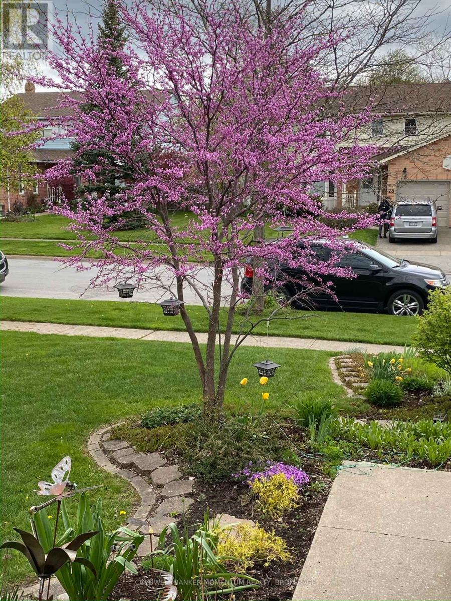 27 Northwood Drive, Welland, Ontario  L3C 6R5 - Photo 36 - X12885722