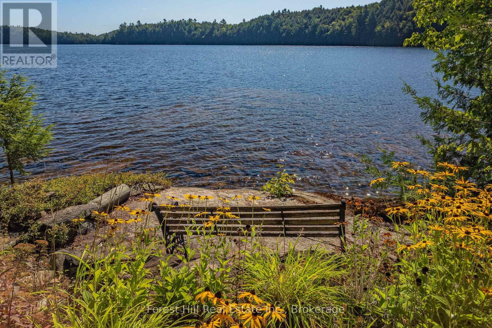 1089 Lutes Lane, Algonquin Highlands, Ontario  P0A 1E0 - Photo 26 - X12888298