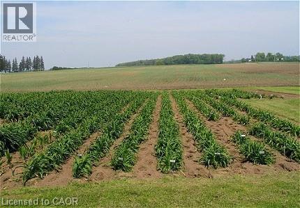 1881 Blueline Road, Norfolk, Ontario  N0E 1Y0 - Photo 37 - 40811256