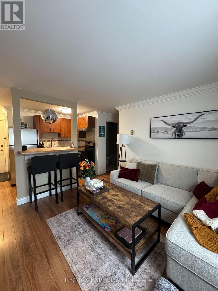 C - 42 Queen Street N, Caledon, Ontario  L7E 1B9 - Photo 4 - W12888320