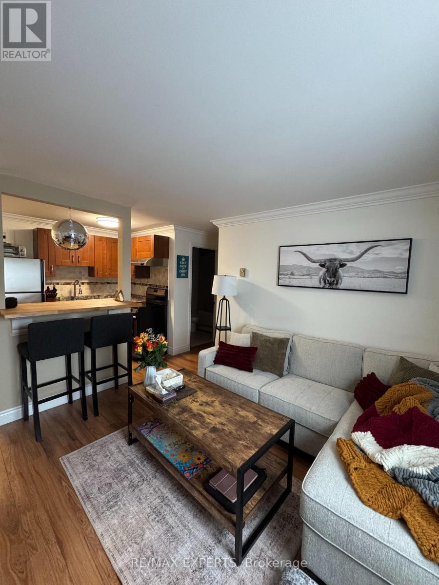 C - 42 Queen Street N, Caledon, Ontario  L7E 1B9 - Photo 5 - W12888320