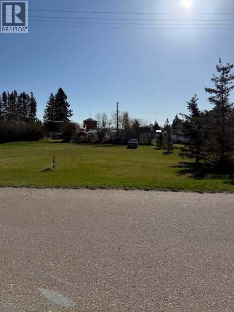 1927 27th Ave, Delburne, Alberta  T0M 0V0 - Photo 2 - A2216828