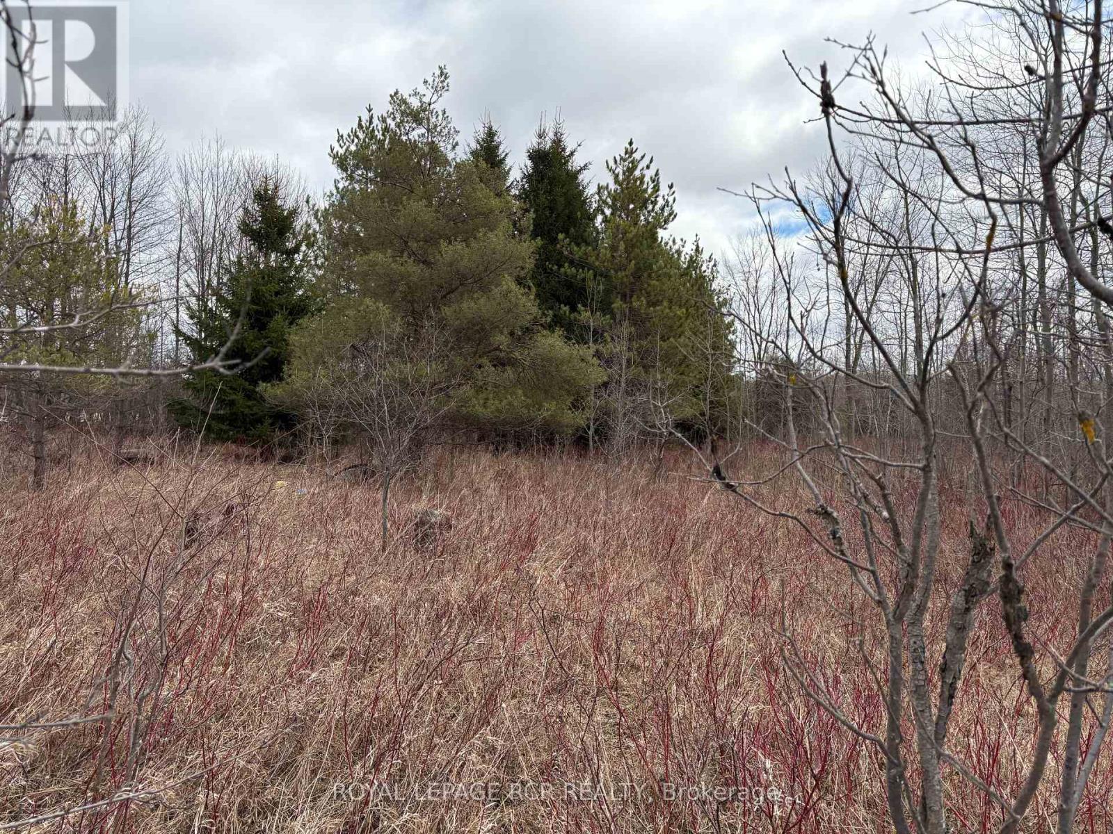 Ptlt 20 Con 8 (9th Line), Amaranth, Ontario  L9W 0H4 - Photo 18 - X12888330