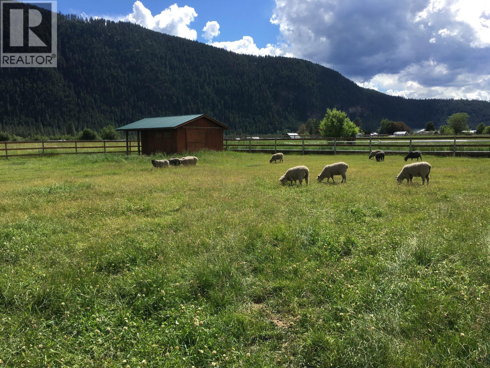 5175 Siminoff Road, Grand Forks, British Columbia  V0H 1H4 - Photo 13 - 10375989