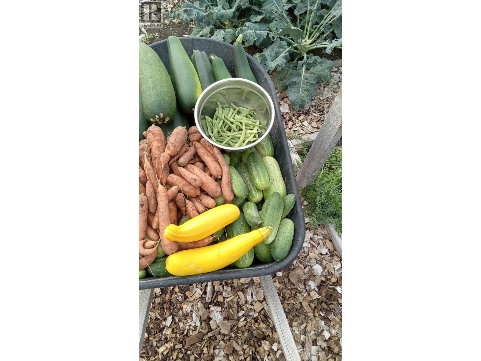 5175 Siminoff Road, Grand Forks, British Columbia  V0H 1H4 - Photo 37 - 10375989