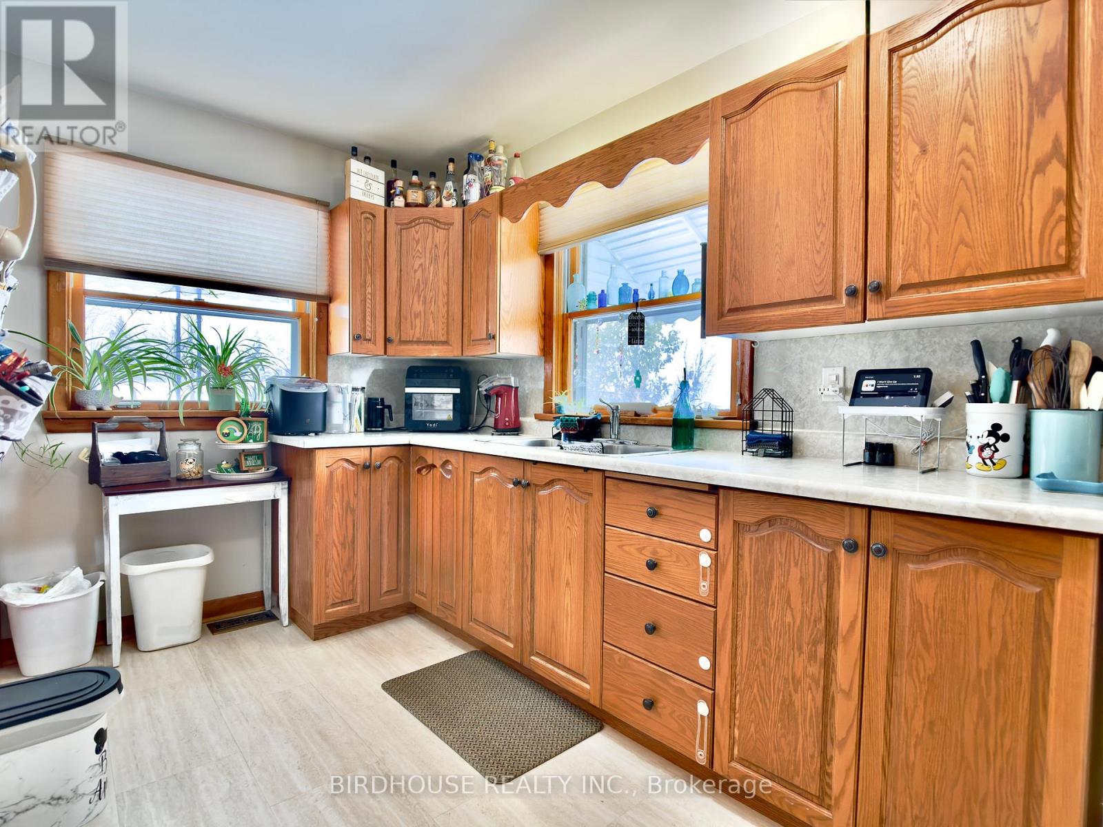 119 Regent Street, Kawartha Lakes, Ontario  K9V 3V7 - Photo 5 - X12888466