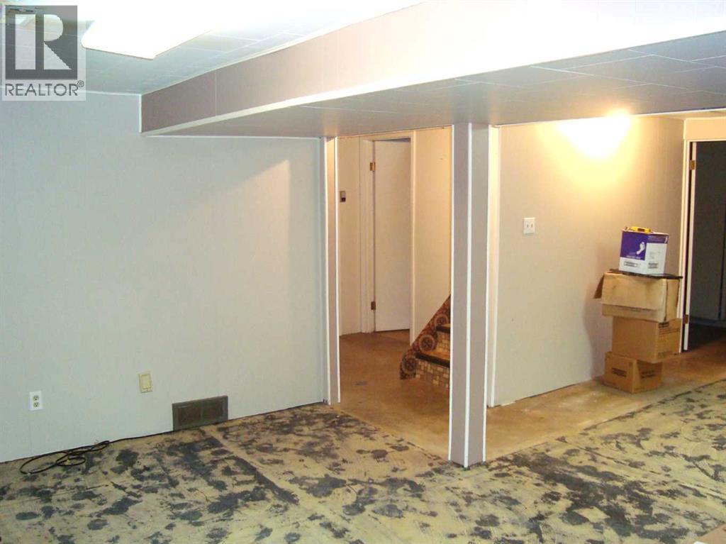 107 2nd Avenue N, Torrington, Alberta  T0M 2B0 - Photo 27 - A2292253