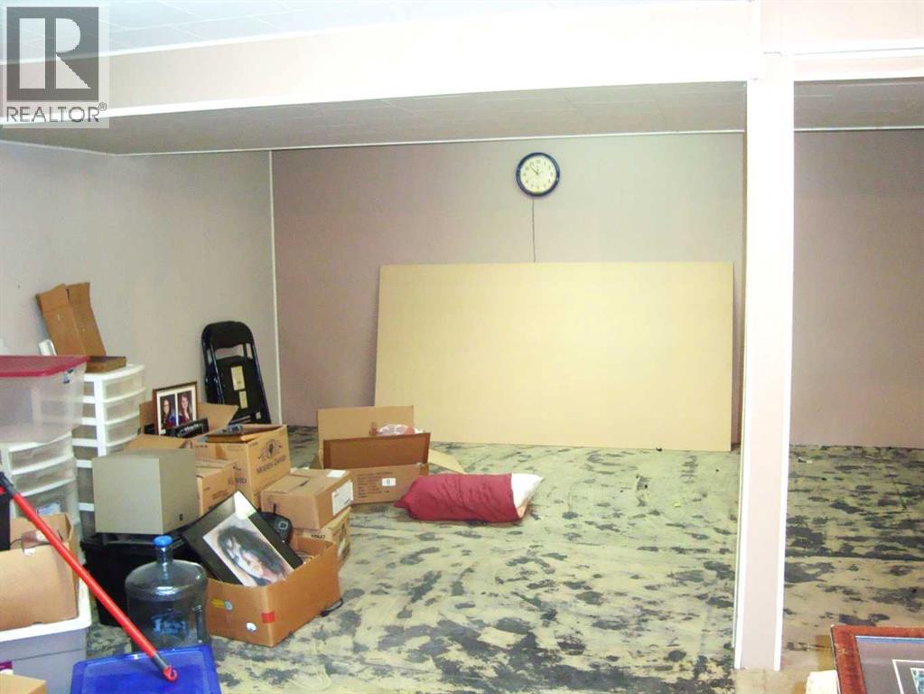 107 2nd Avenue N, Torrington, Alberta  T0M 2B0 - Photo 25 - A2292253