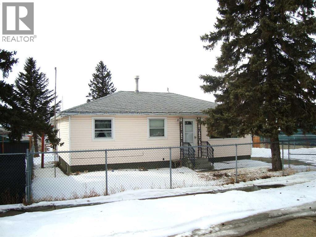 107 2nd Avenue N, Torrington, Alberta  T0M 2B0 - Photo 3 - A2292253