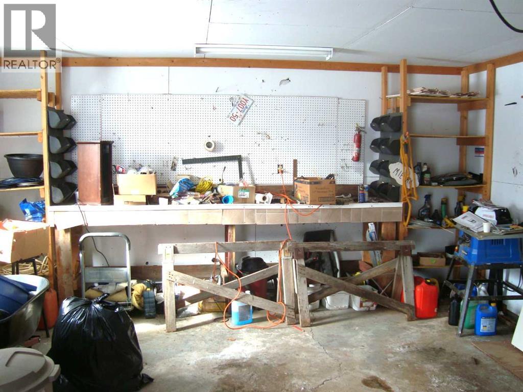 107 2nd Avenue N, Torrington, Alberta  T0M 2B0 - Photo 37 - A2292253