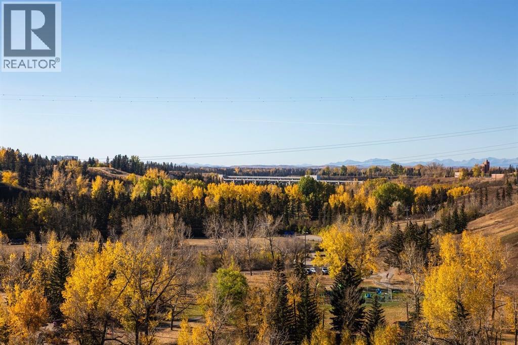 529 55 Avenue Sw, Calgary, Alberta  T2V 0E9 - Photo 49 - A2292691