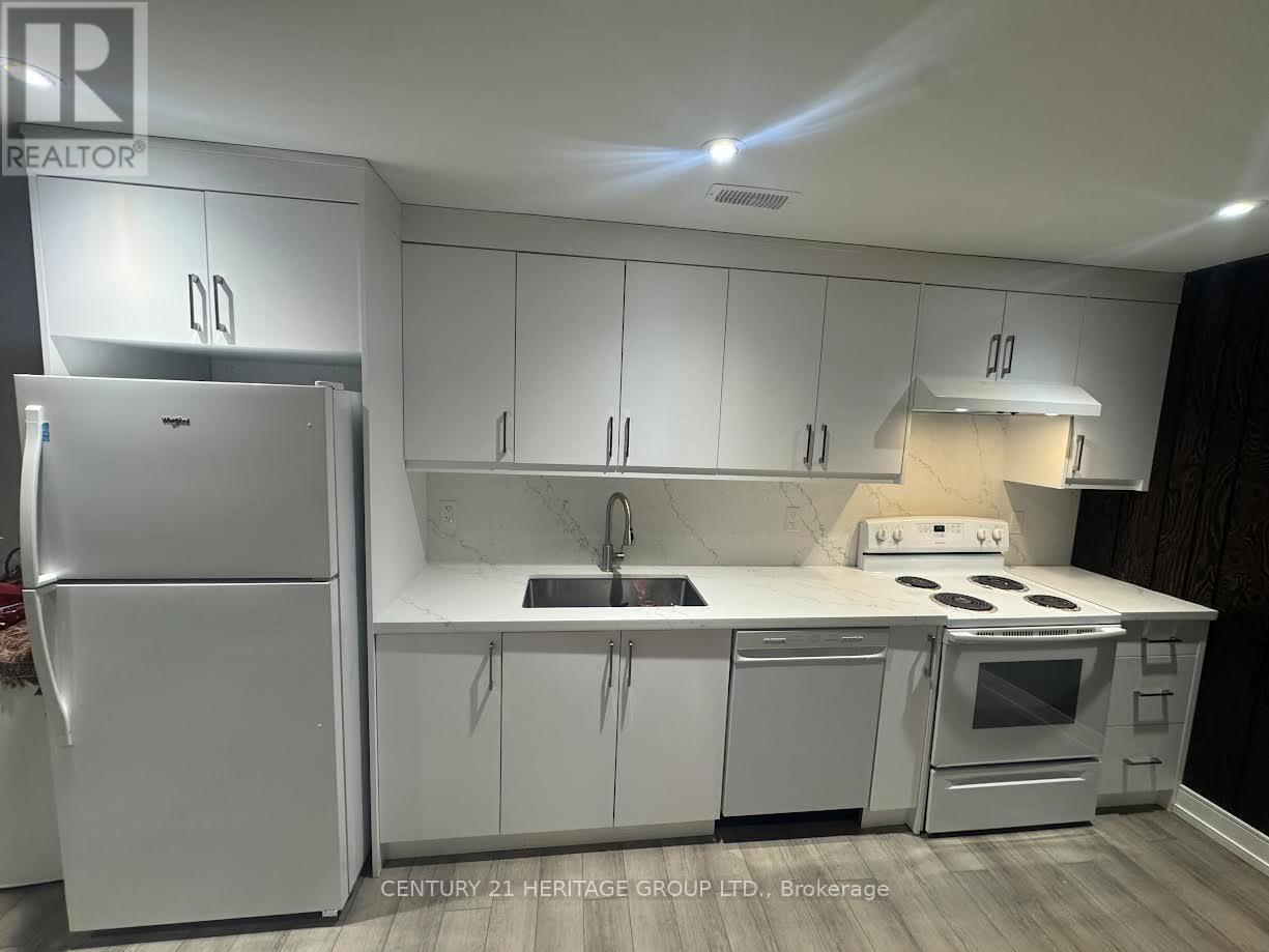 Lower - 163 Hilltop Drive, East Gwillimbury, Ontario  L9N 1B9 - Photo 8 - N12888252