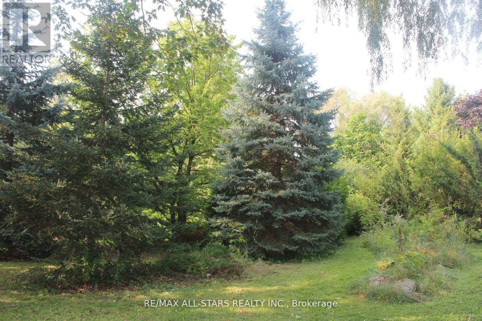 40-A Riverglen Drive, Georgina, Ontario  L4P 2R1 - Photo 5 - N12888462