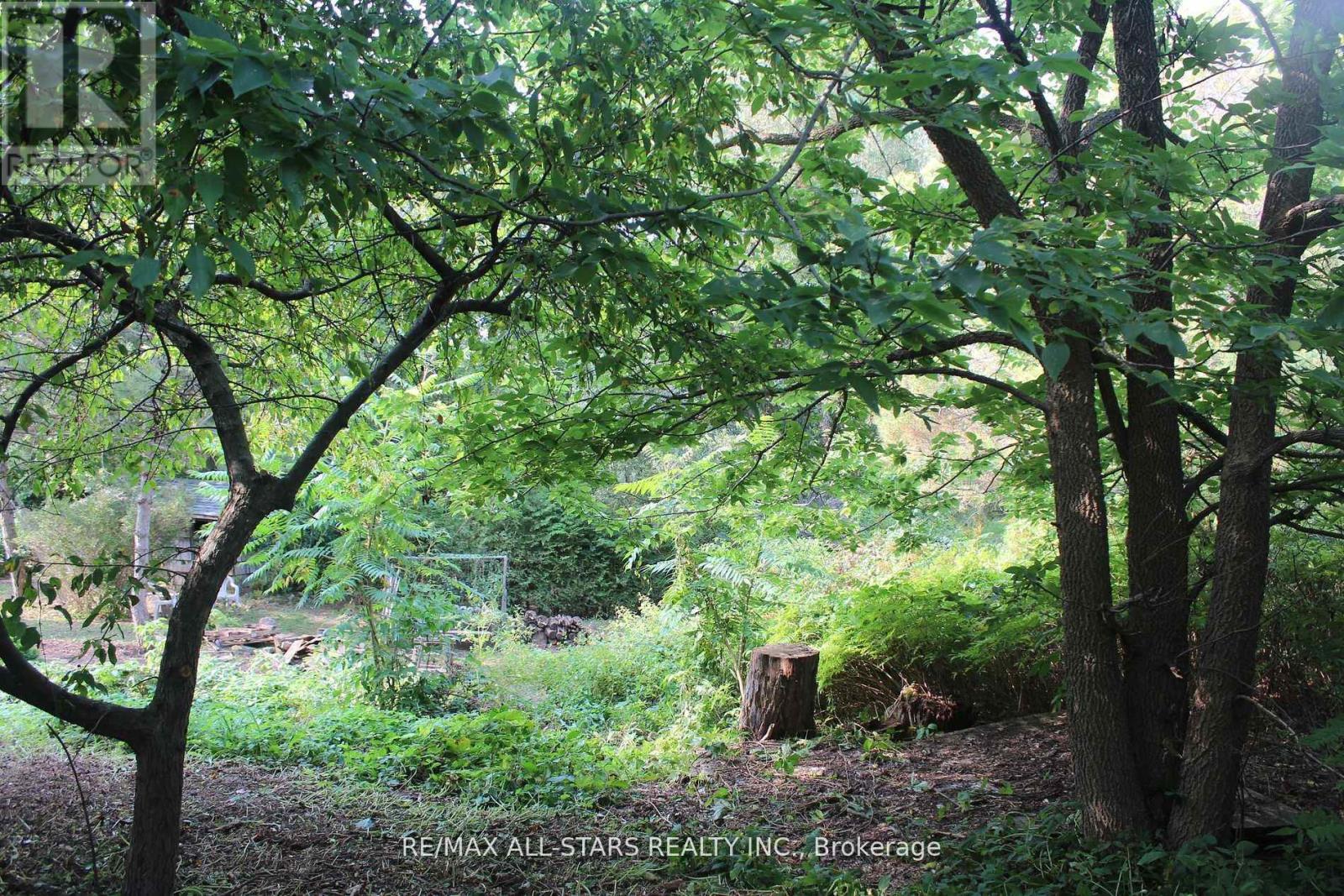 40-A Riverglen Drive, Georgina, Ontario  L4P 2R1 - Photo 7 - N12888462