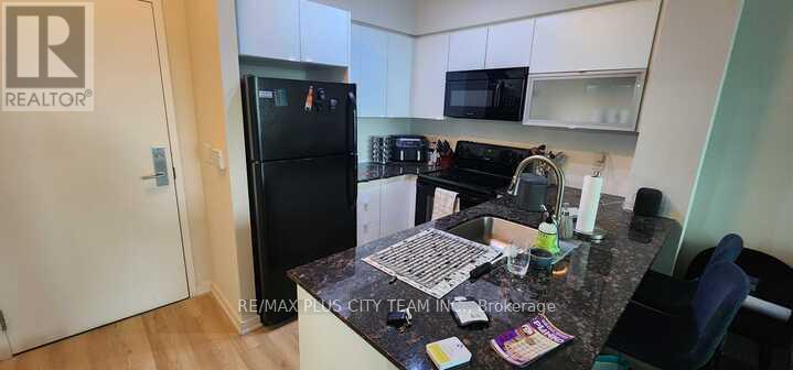 1002 - 150 East Liberty Street, Toronto (Niagara), Ontario  M6K 3R5 - Photo 4 - C12888616