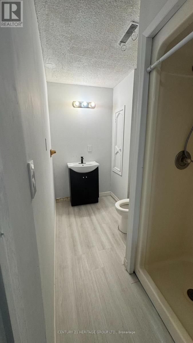 Bsmt - 735 Pam Crescent, Newmarket (Huron Heights-Leslie Valley), Ontario  L3Y 5B7 - Photo 6 - N12888536